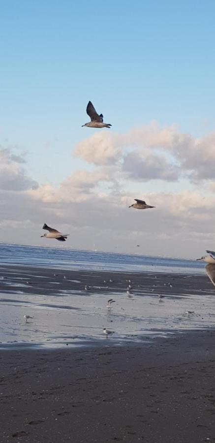 Bord De Plage, Thalasso Et Vue Mer ! Cabourg Esterno foto